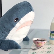 欲しい 泣く
